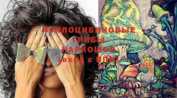 мескалин Арсеньев